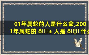 01年属蛇的人是什么命,2001年属蛇的 🐱 人是 🦉 什么命